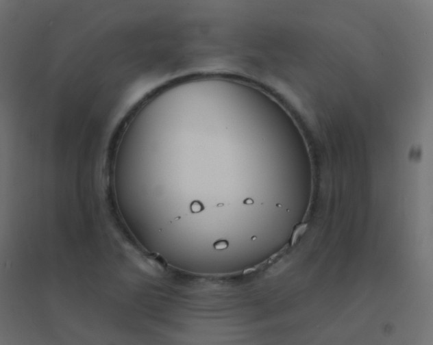 X0000094921270200712131507