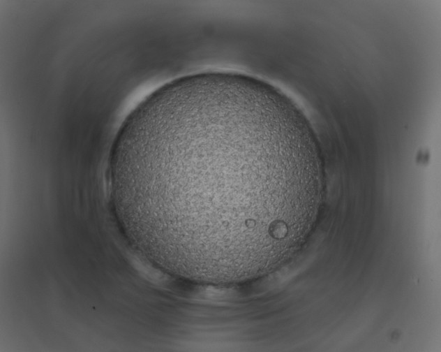 X0000094921271200712131507