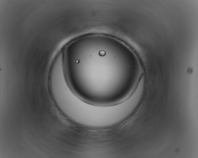 X0000094921272200712131507