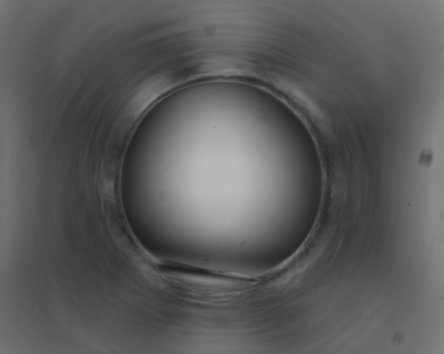 X0000094921273200712131507