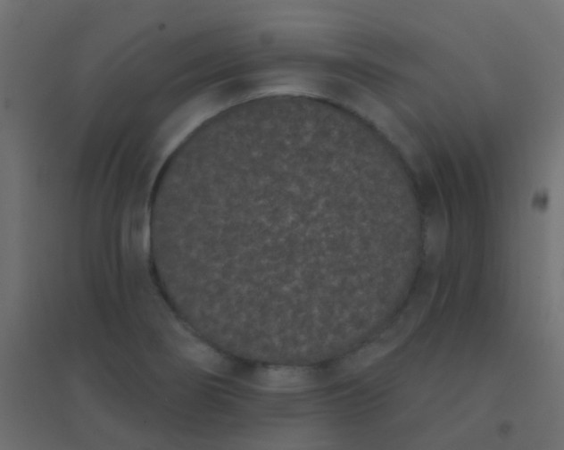 X0000094921274200712131507