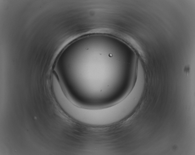 X0000094921276200712131507