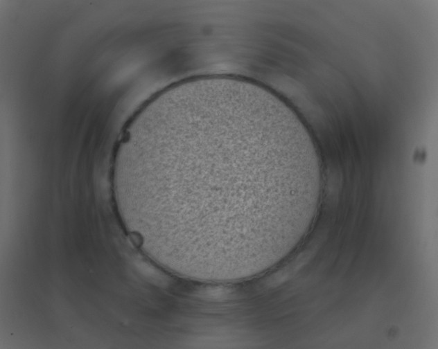 X0000094921278200712131507