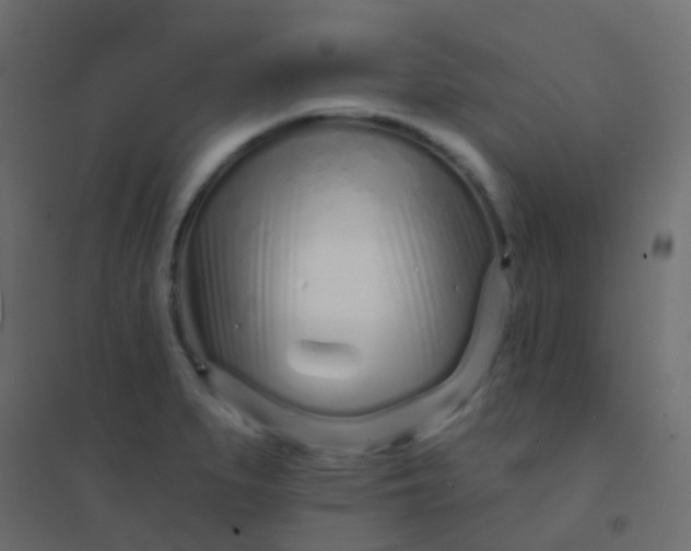 X0000094921279200712131507