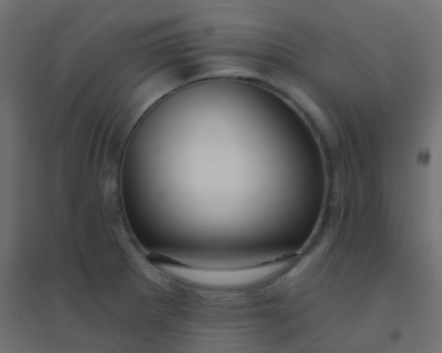 X0000094921281200712131507