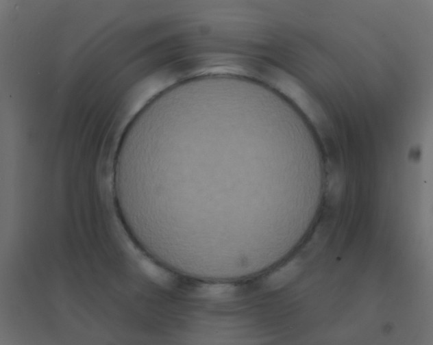 X0000094921282200712131507