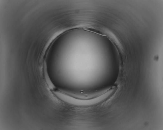 X0000094921284200712131507