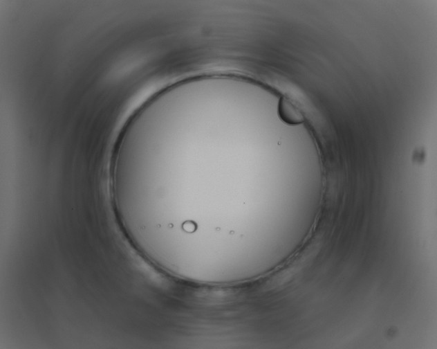 X0000094921286200712131506