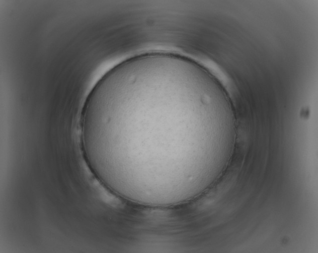 X0000094921287200712131506