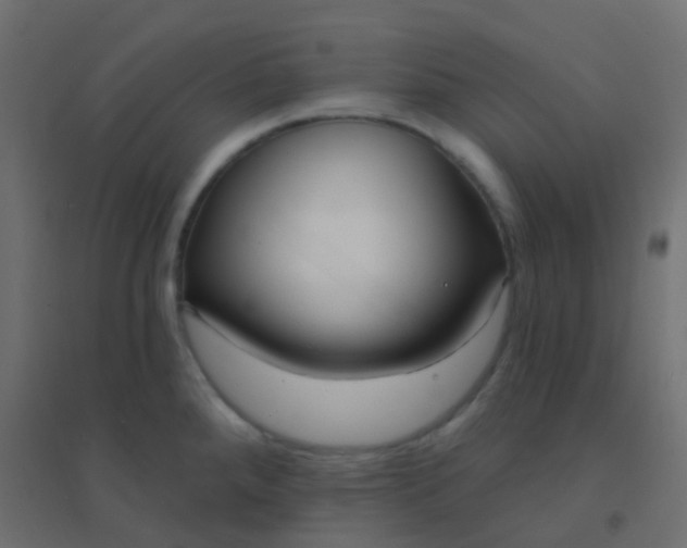 X0000094921288200712131506