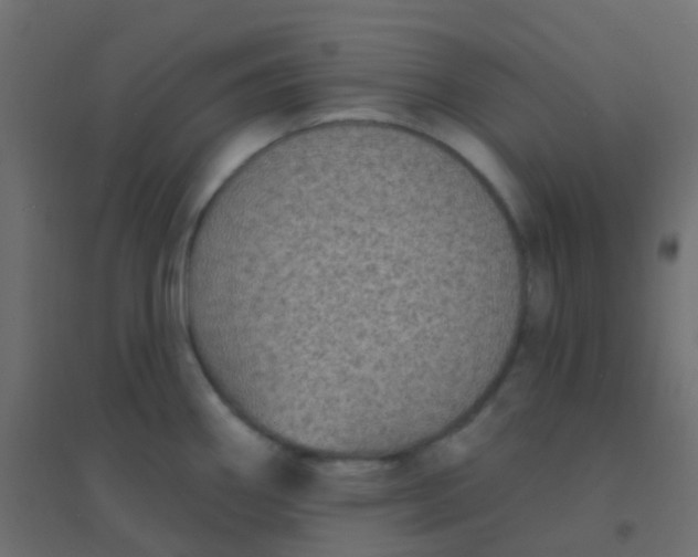 X0000094921290200712131506