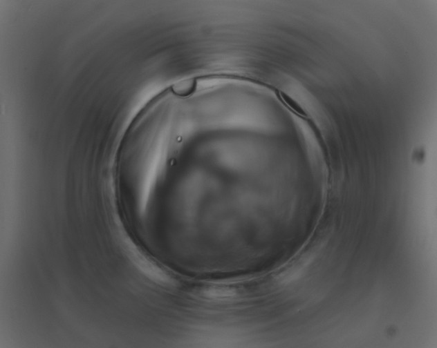 X0000094921291200712131506