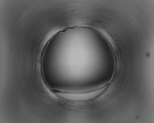 X0000094921293200712131506