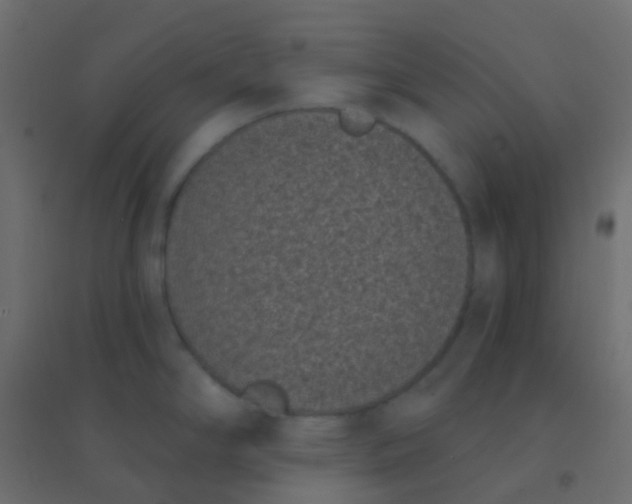 X0000094921294200712131506