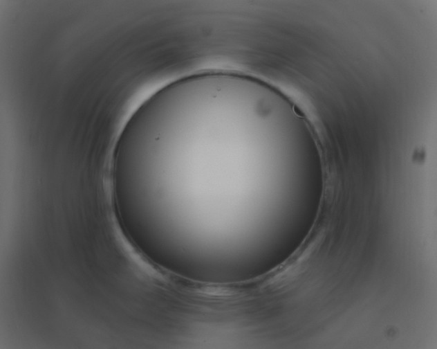 X0000094921295200712131506