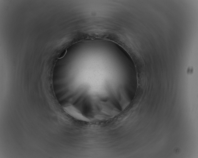 X0000094921297200712131506