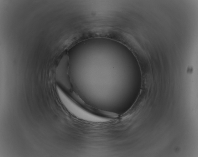 X0000094921298200712131506