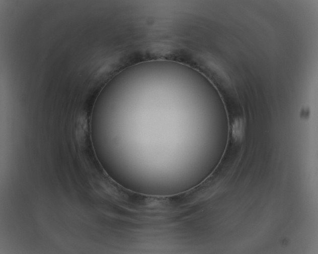 X0000094921299200712131506