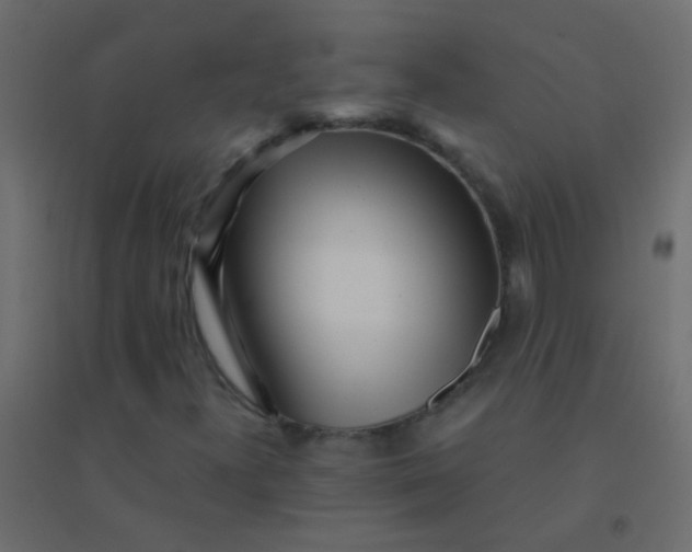 X0000094921300200712131506