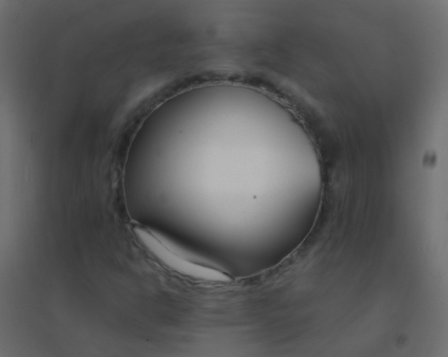 X0000094921302200712131506