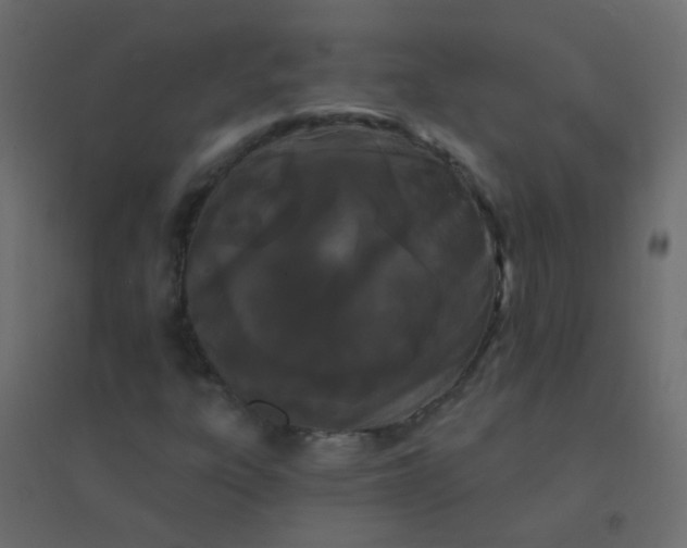 X0000094921303200712131506