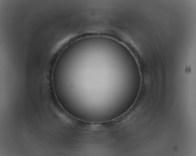 X0000094921304200712131506