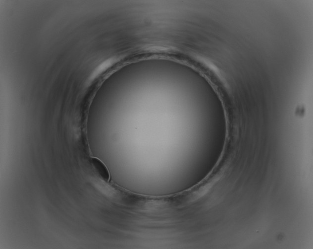 X0000094921306200712131506