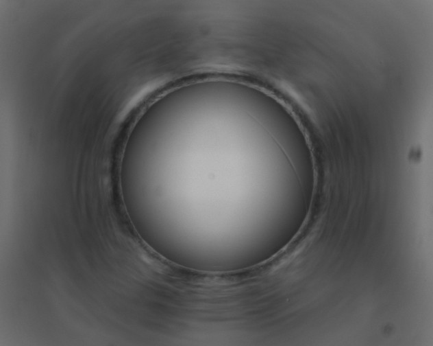 X0000094921307200712131506