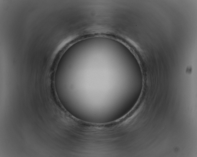 X0000094921309200712131506