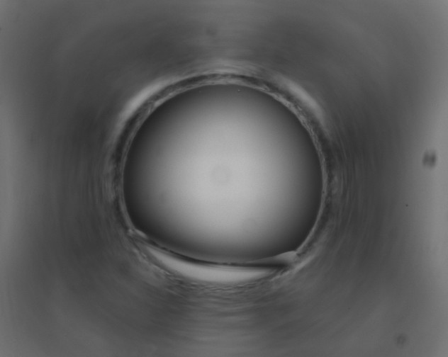 X0000094921310200712131506