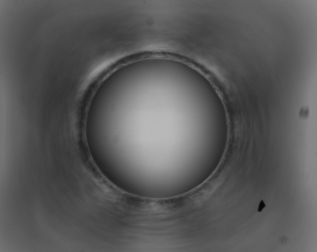 X0000094921311200712131506