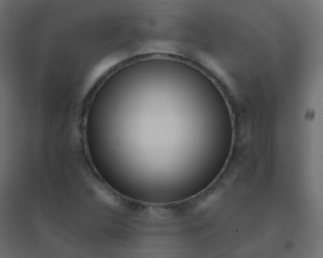 X0000094921312200712131506