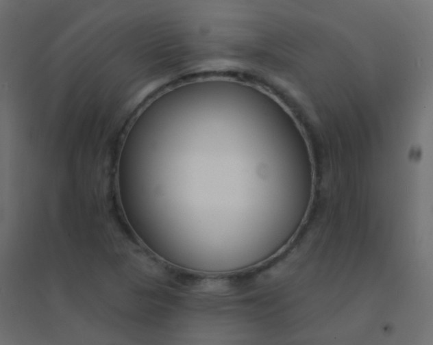 X0000094921313200712131506