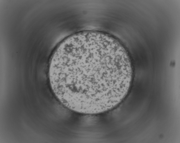 X0000094921314200712131506