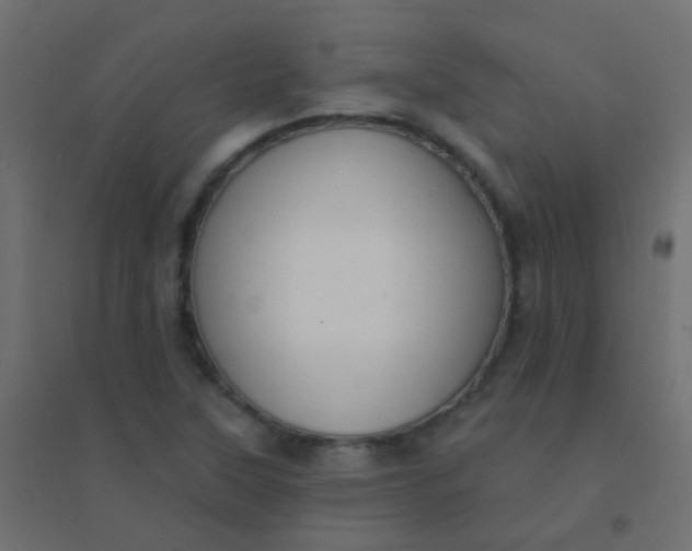 X0000094921315200712131506