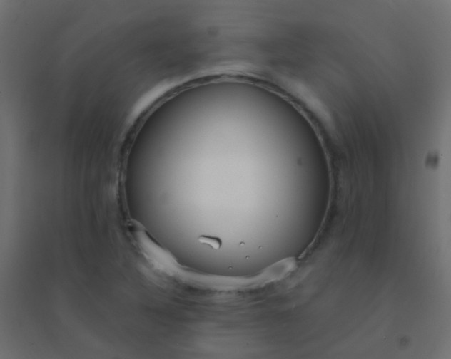 X0000094921316200712131506