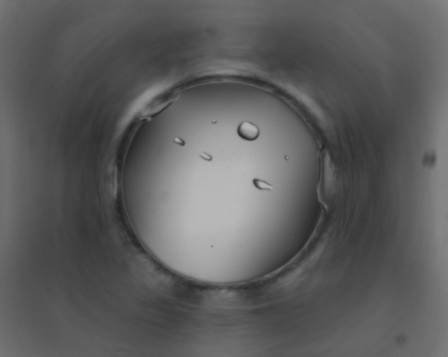 X0000094921317200712131506