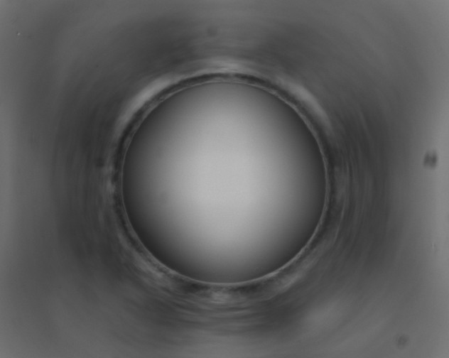 X0000094921318200712131506