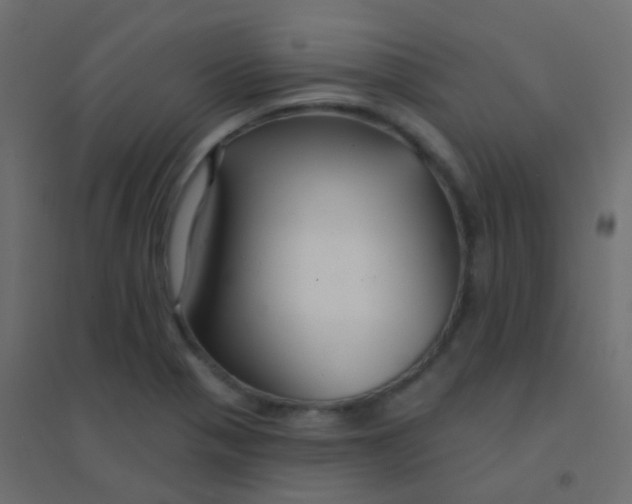 X0000094921321200712131506