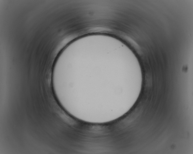 X0000094921322200712131506