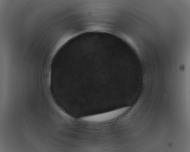 X0000094921323200712131506