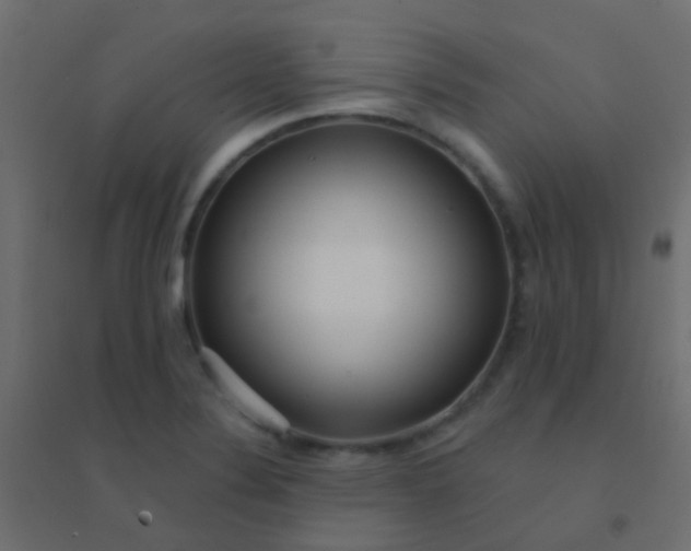 X0000094921324200712131506