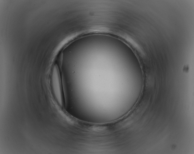 X0000094921325200712131506