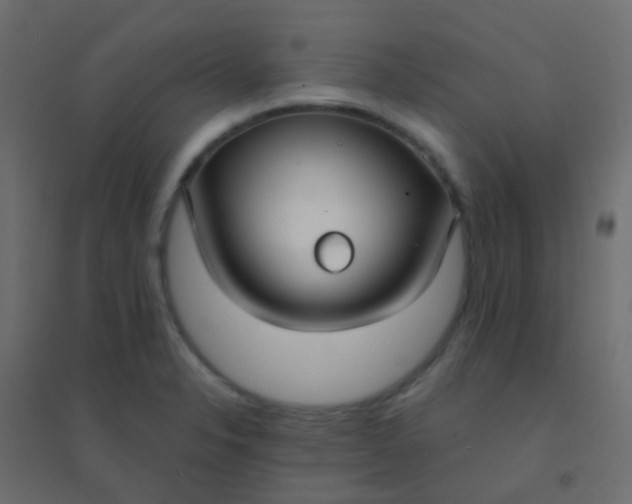 X0000094921326200712131506