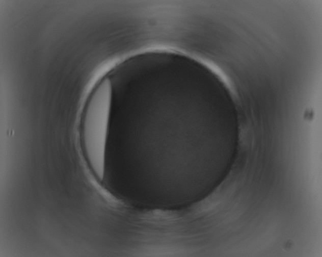 X0000094921327200712131506