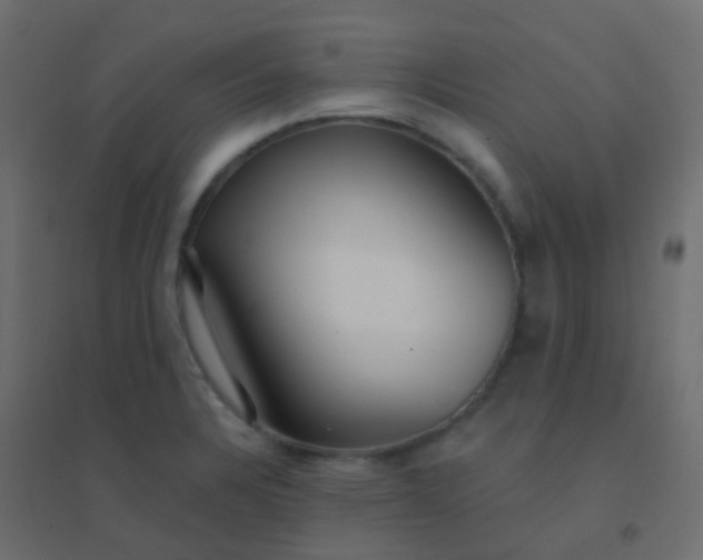 X0000094921328200712131506