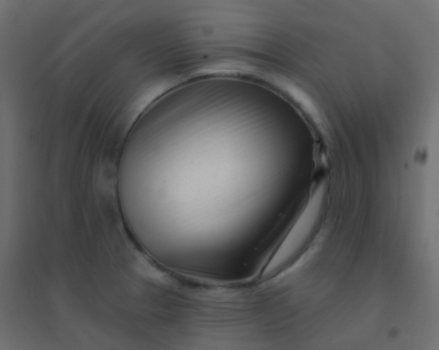 X0000094921329200712131506