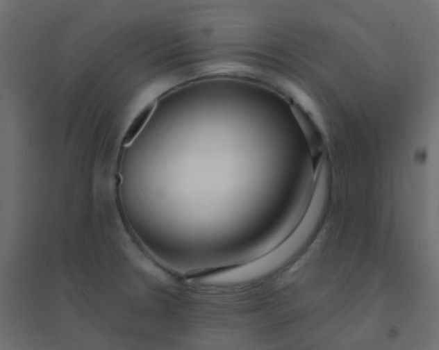 X0000094921330200712131506