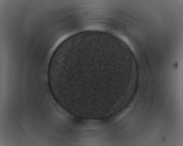 X0000094921331200712131506