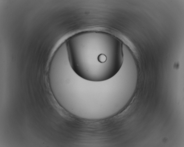 X0000094921332200712131506